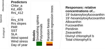 Accuracy of Empirical Satellite Algorithms for Mapping Phytoplankton Diagnostic Pigments in the Open Ocean: A Supervised Learning Perspective